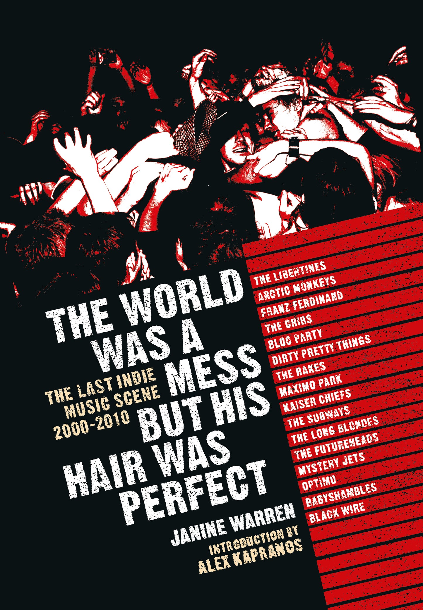 The World Was a Mess But His Hair Was Perfect: The Last Indie Music Scene 2000-2010