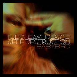 The Pleasures Of Self Destruction