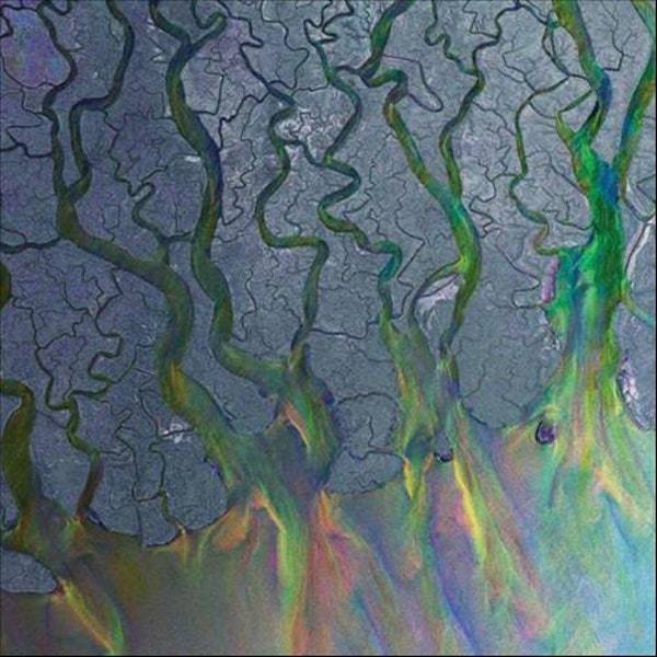 An Awesome Wave (National Album Day 2022)