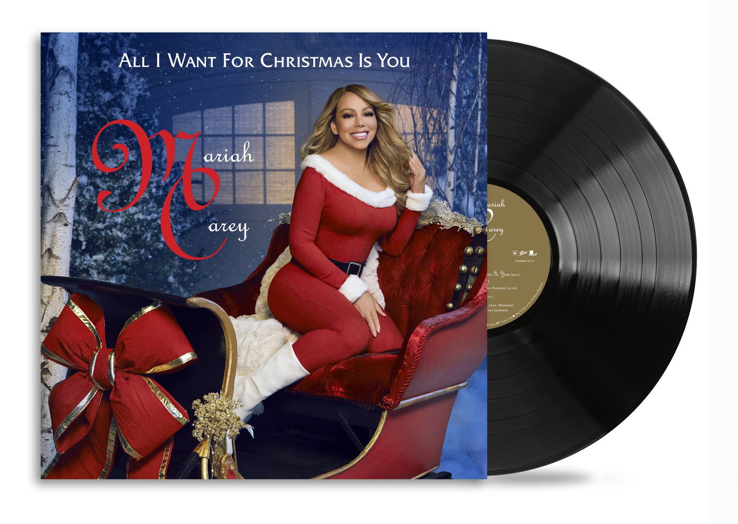 AIWFCIY 12” Vinyl Single Product Shot.jpg