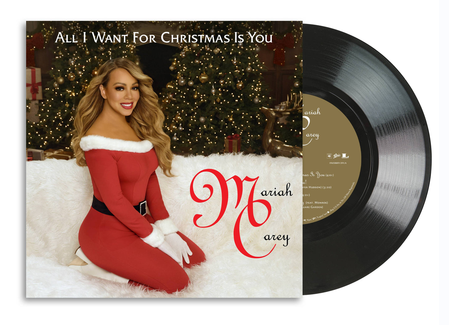 AIWFCIY 7” Vinyl Single Product Shot.jpg