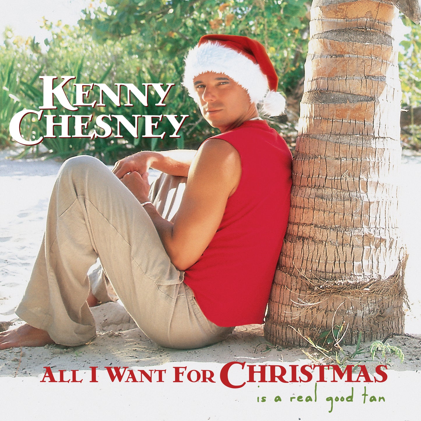 All I Want For Christmas Is A Real Good Tan