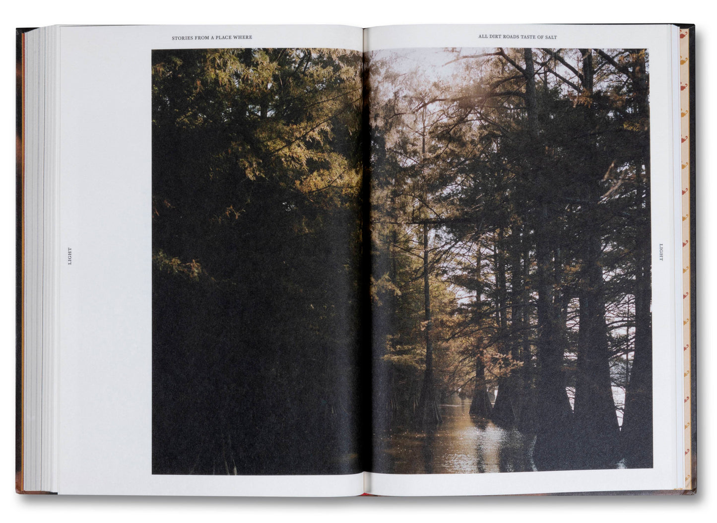 All dirt Roads_09.jpg