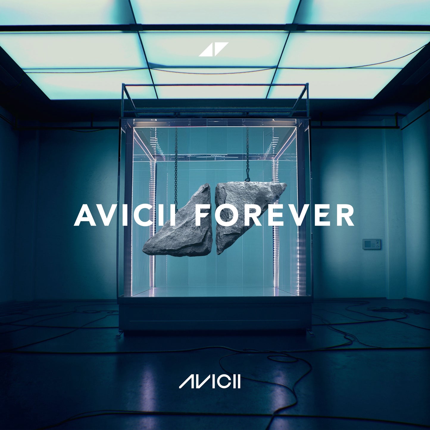 Avicii - Forever