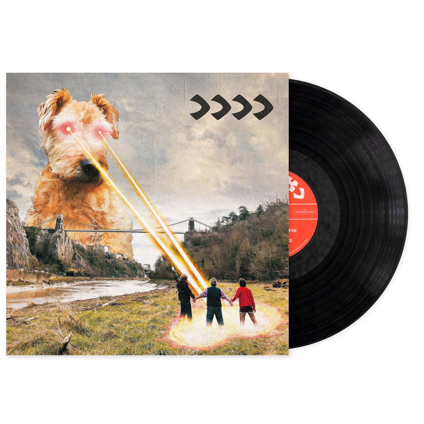 Beak_INV319LP.png