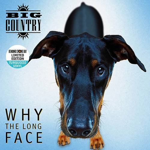 Why The Long Face - RSD 2024