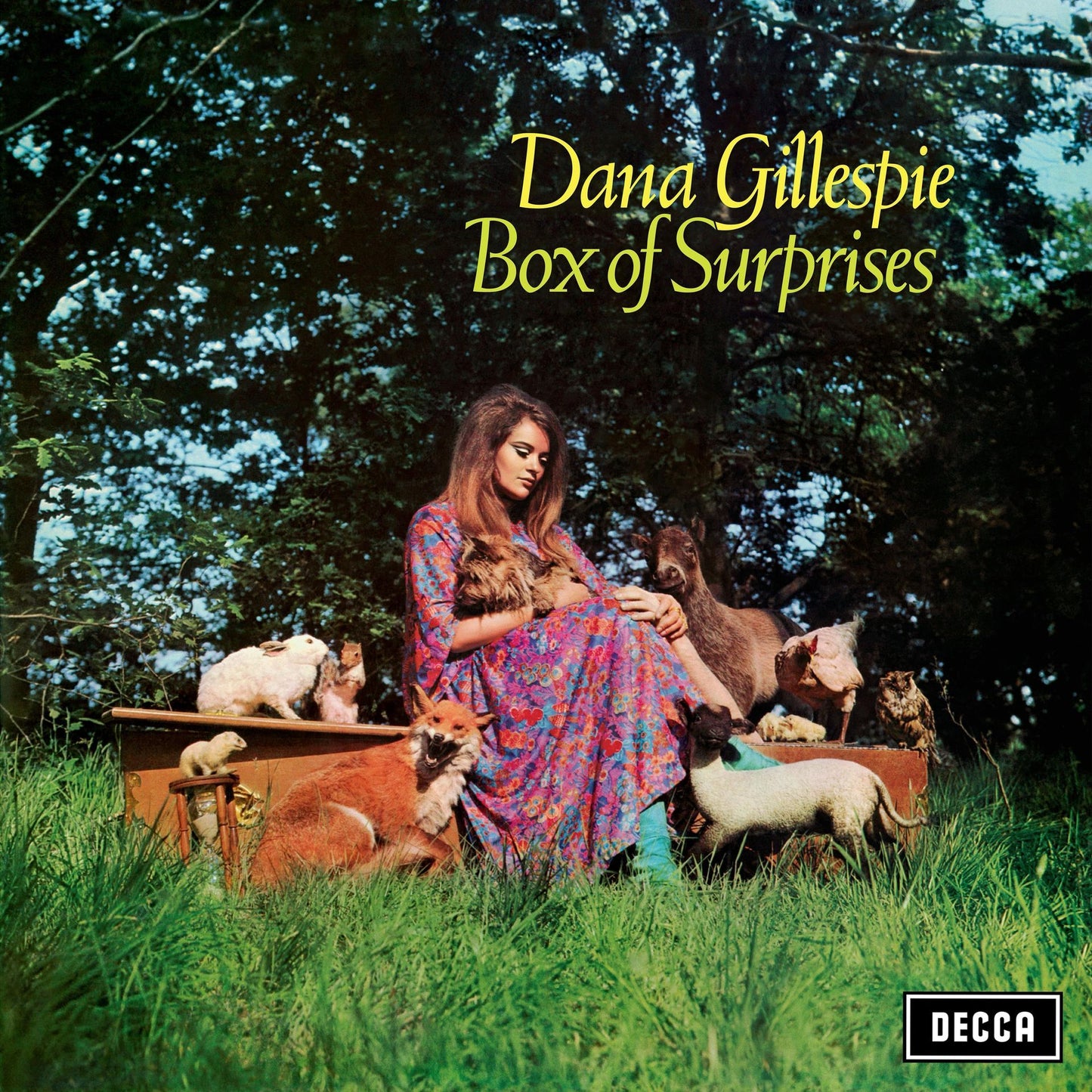 Dana Gillespie - Box of Surprises Product Image
