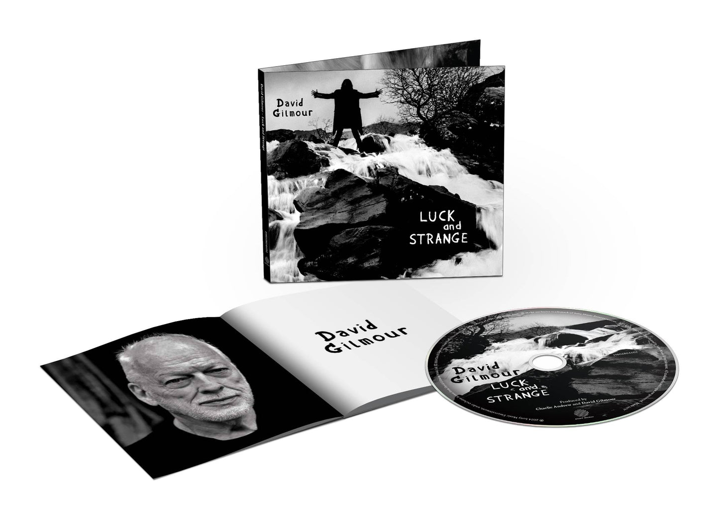 DavidGilmour_LuckAndStrange_CD_3D.jpg