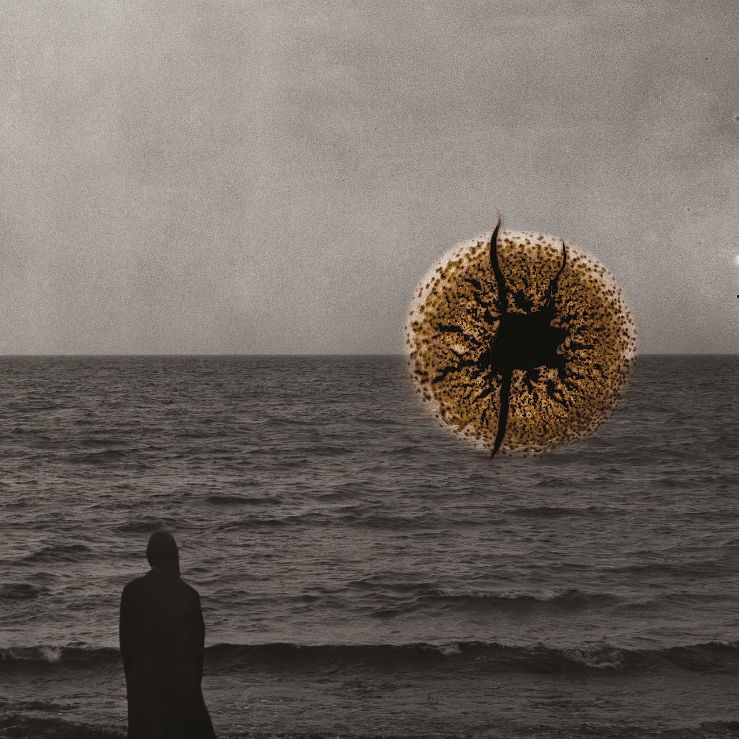 Echoes of Impermanence