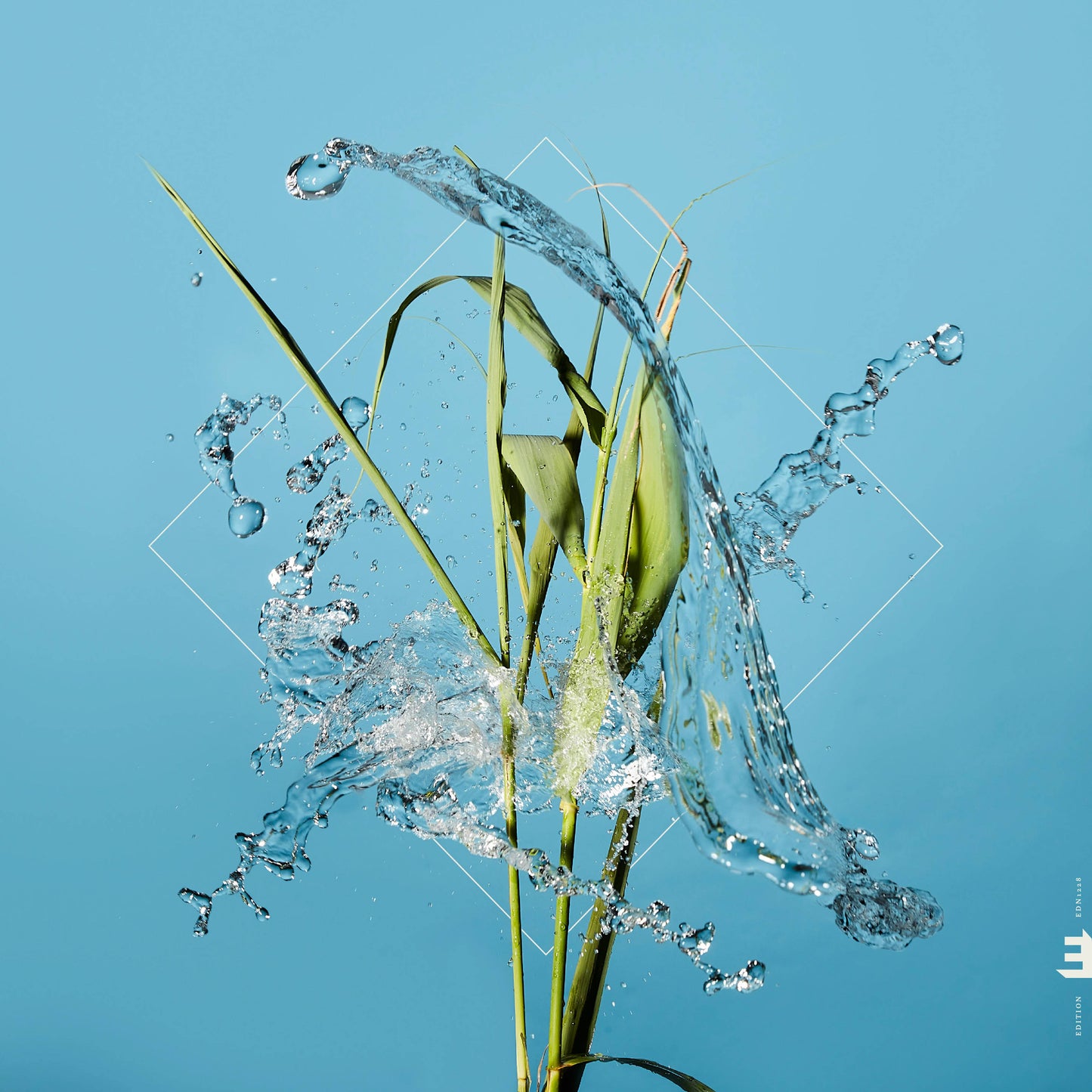Stream