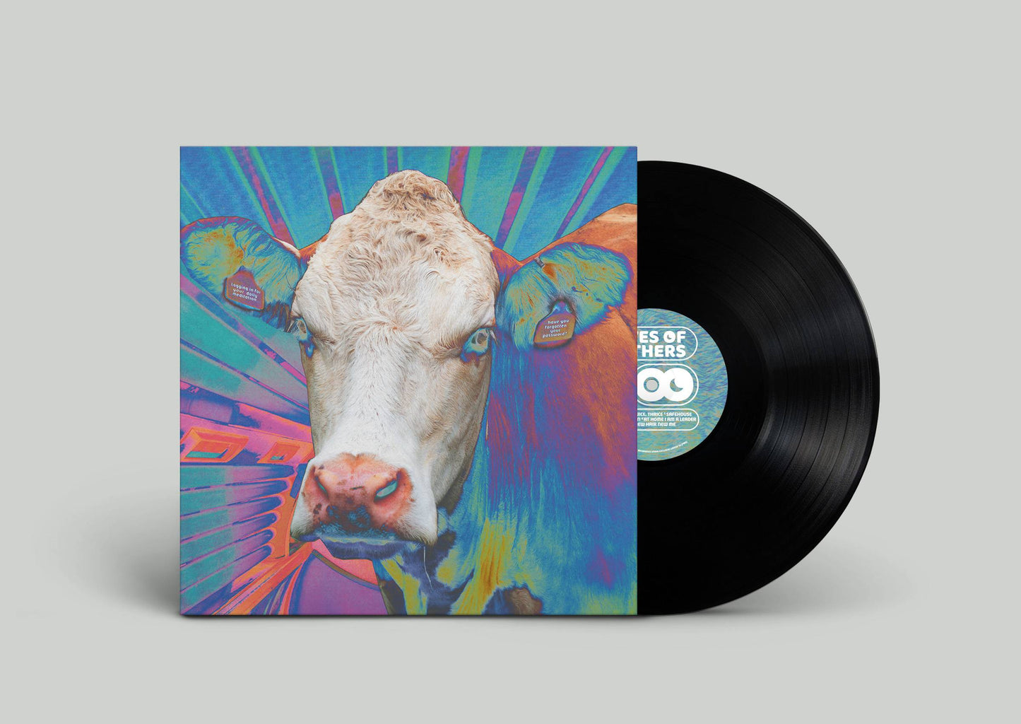 Eyes of Others LP Mock-Up.jpg