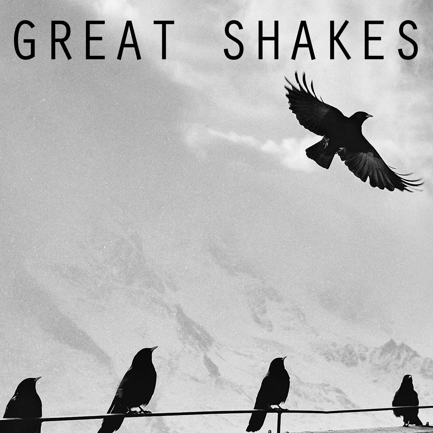 Great Shakes