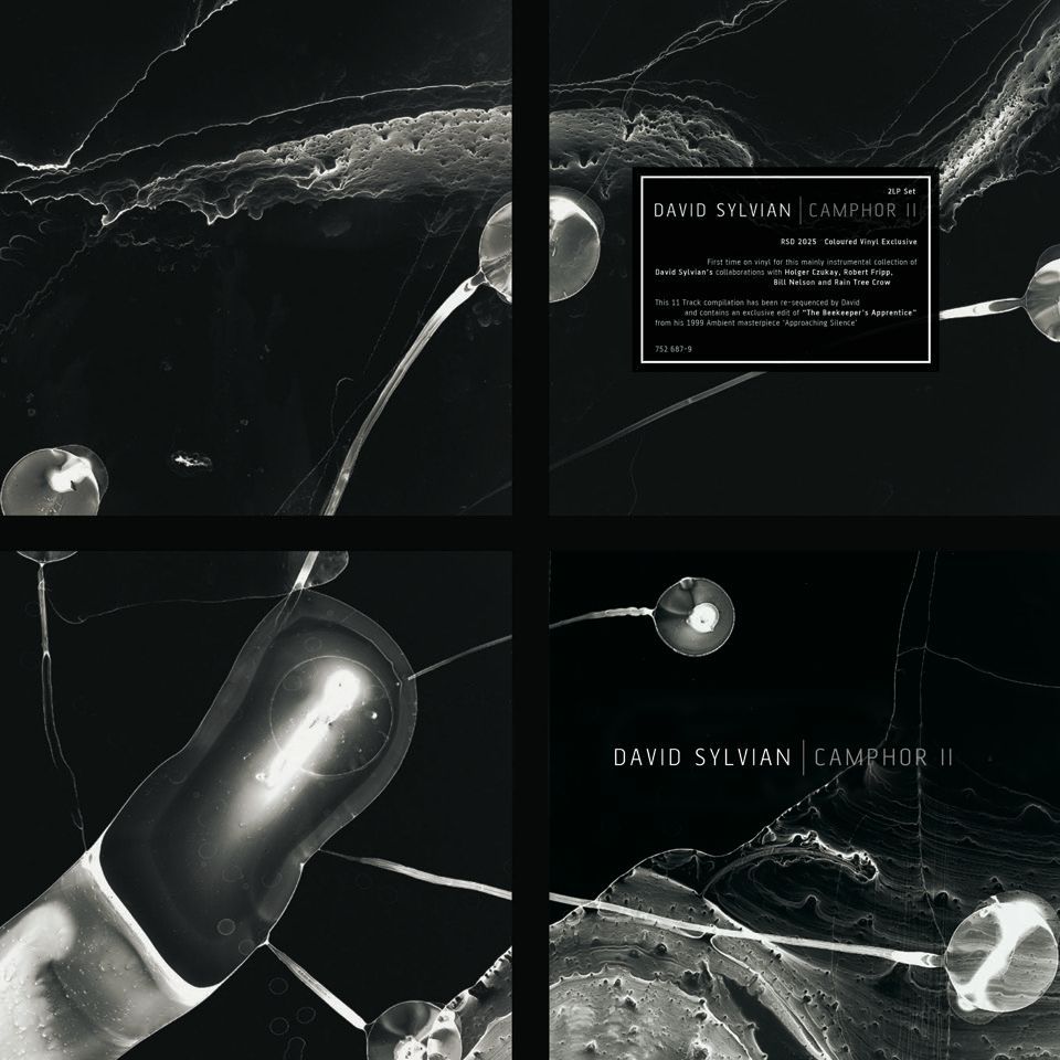David Sylvian - Camphor II Product Image