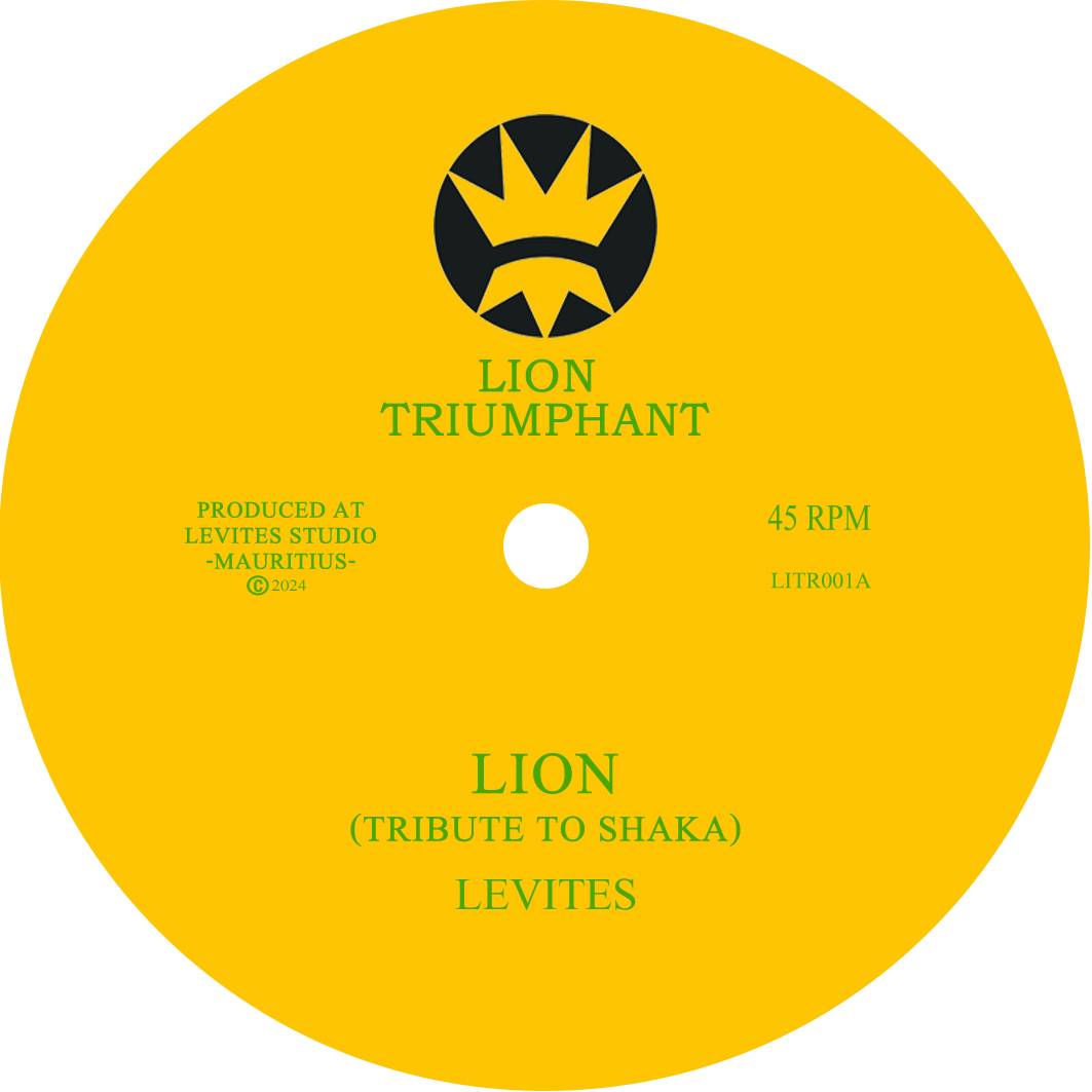 Lion Tribute to Shaka