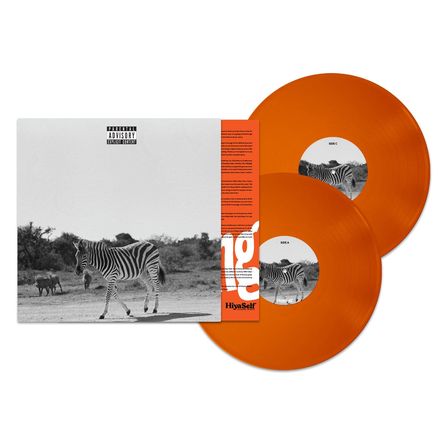 LOUIS VI - EARTHLIN - HSRULP1X - MOCKUP.jpg