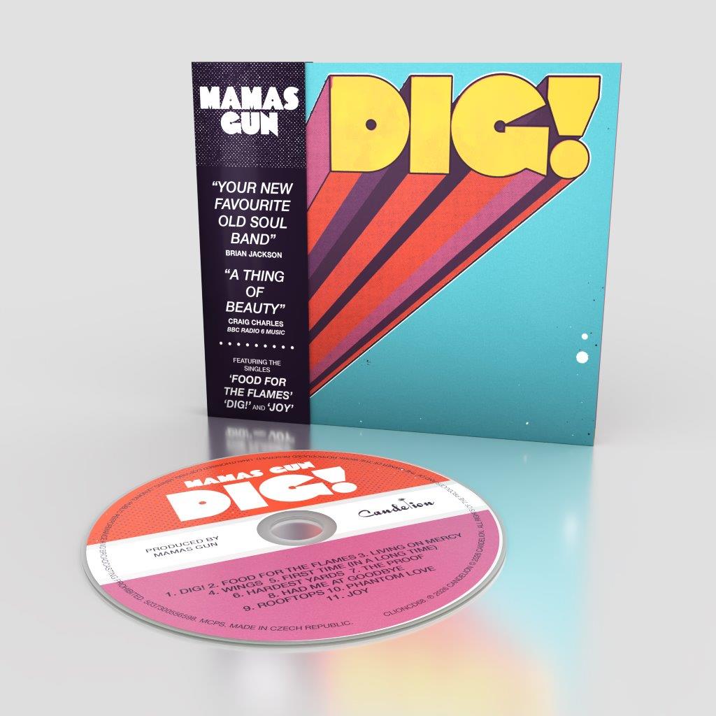 DIG!