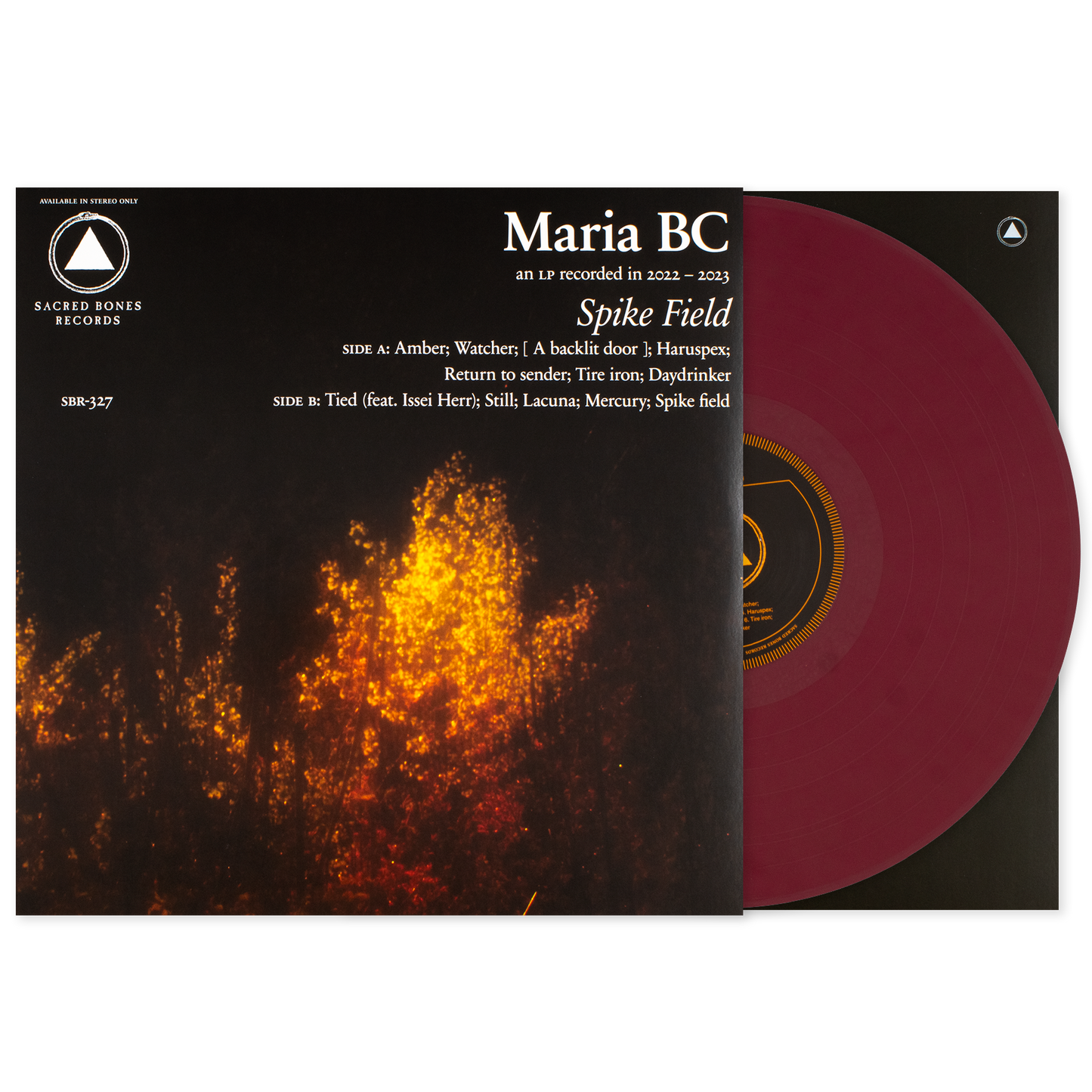 Maria BC - Spike Field.png