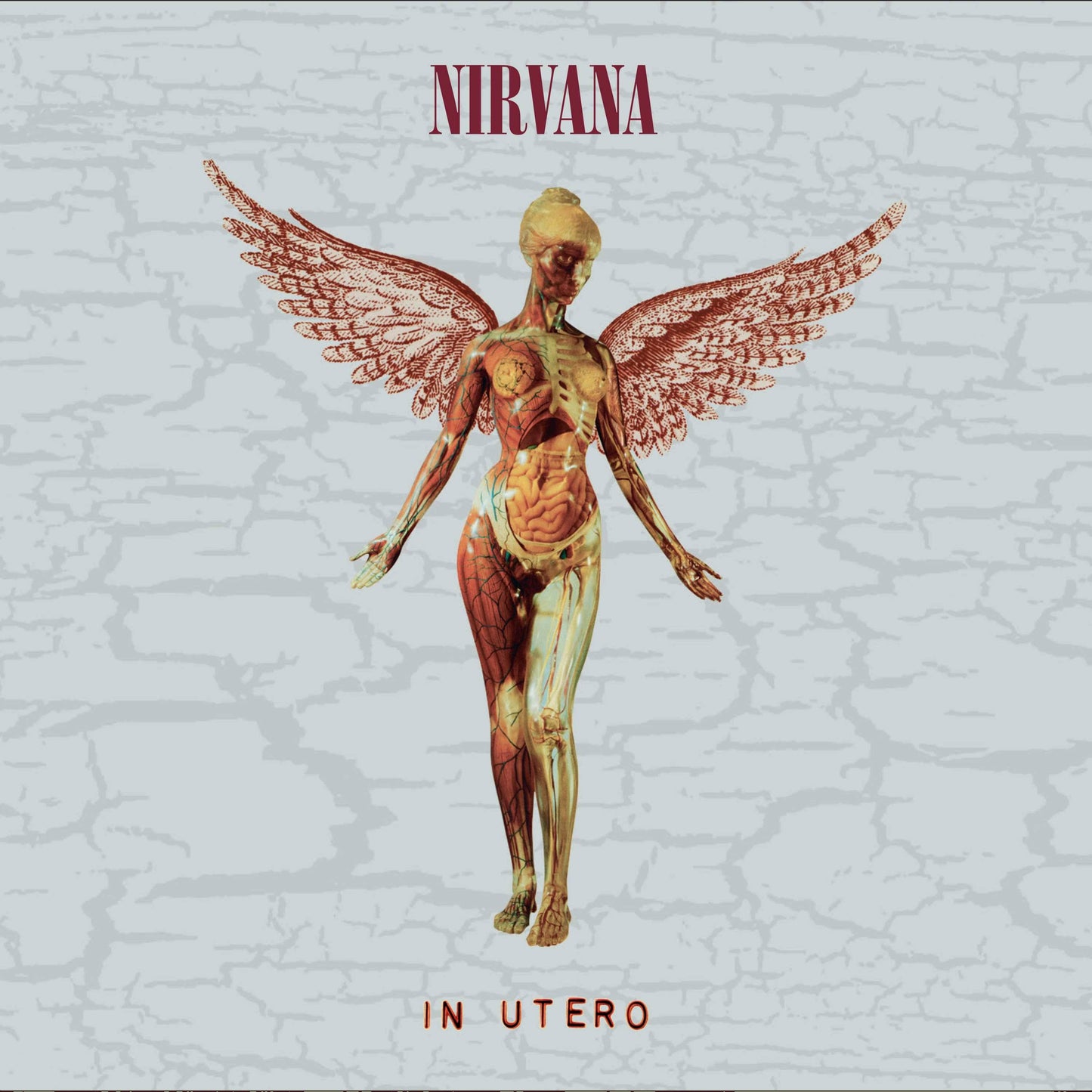 In Utero (30th Anniversary)