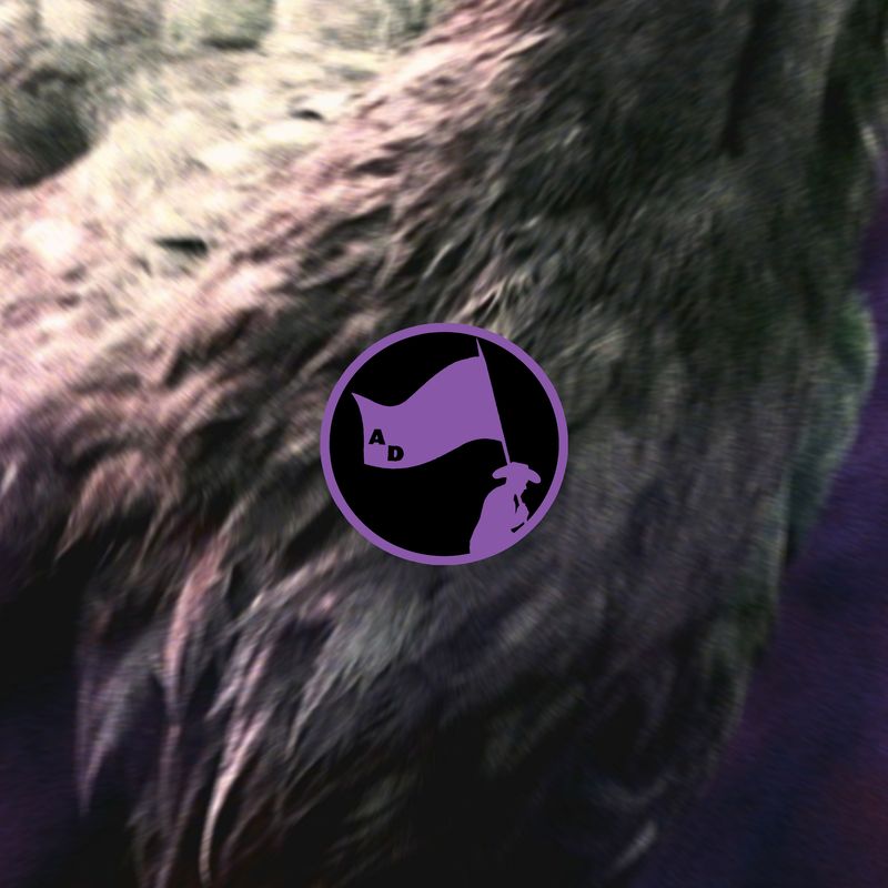 Bird of Parallax