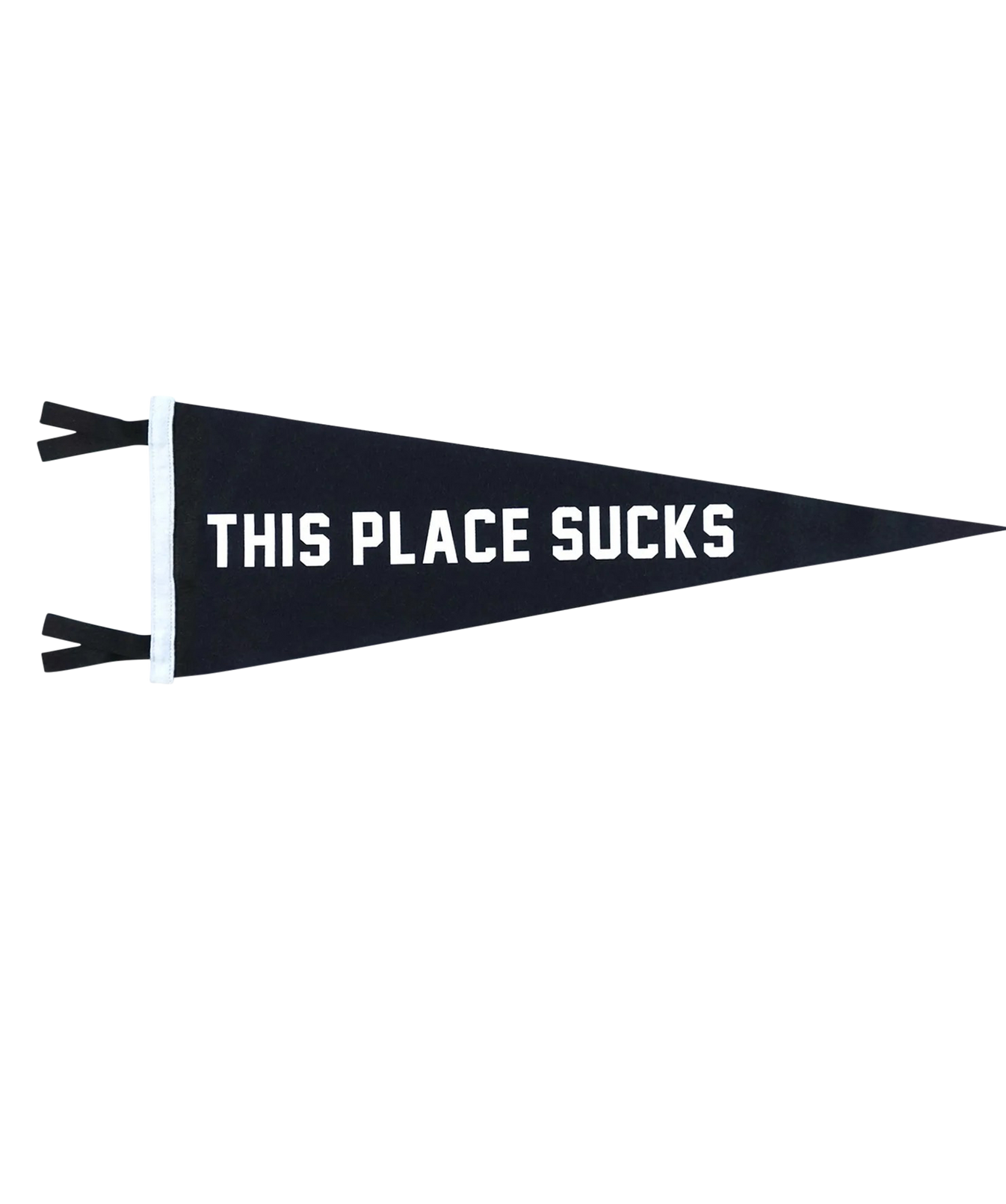 Oxford Pennant - This Place Sucks Pennant Product Image