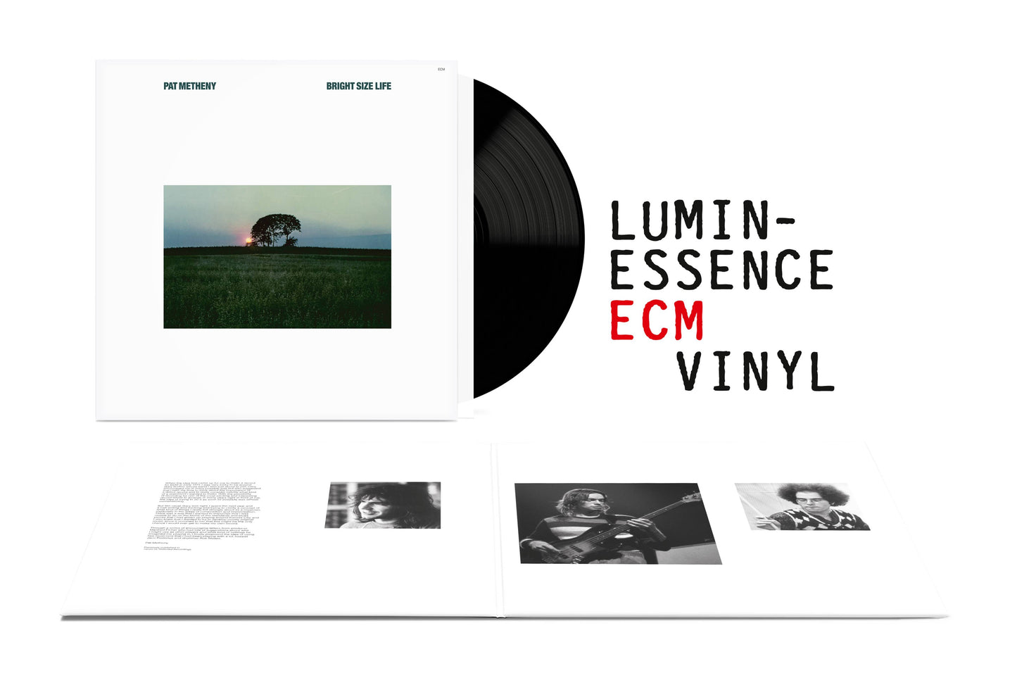 Pat Metheny_LP PS.jpg