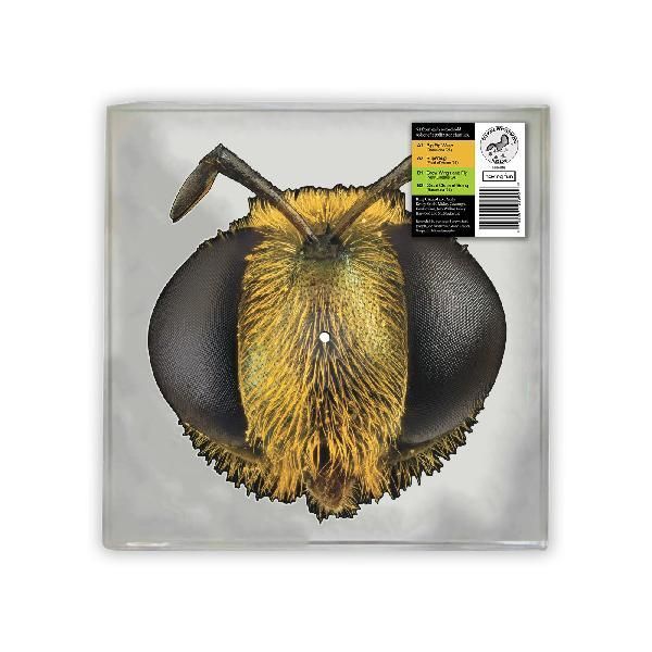 King Gizzard and The Lizard Wizard - Big Fig Wasp - RSD 2026 Product Image