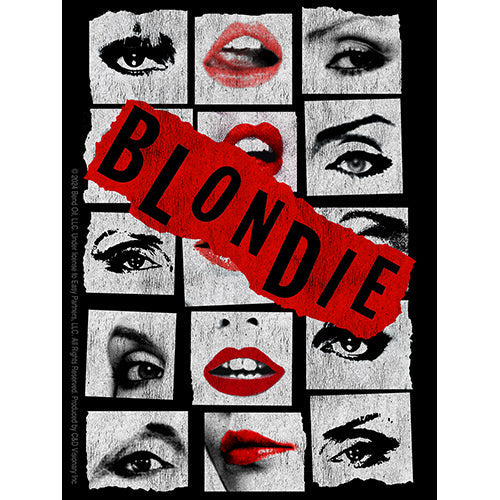 Blondie Eyes & Lips 3.75"x5" Sticker