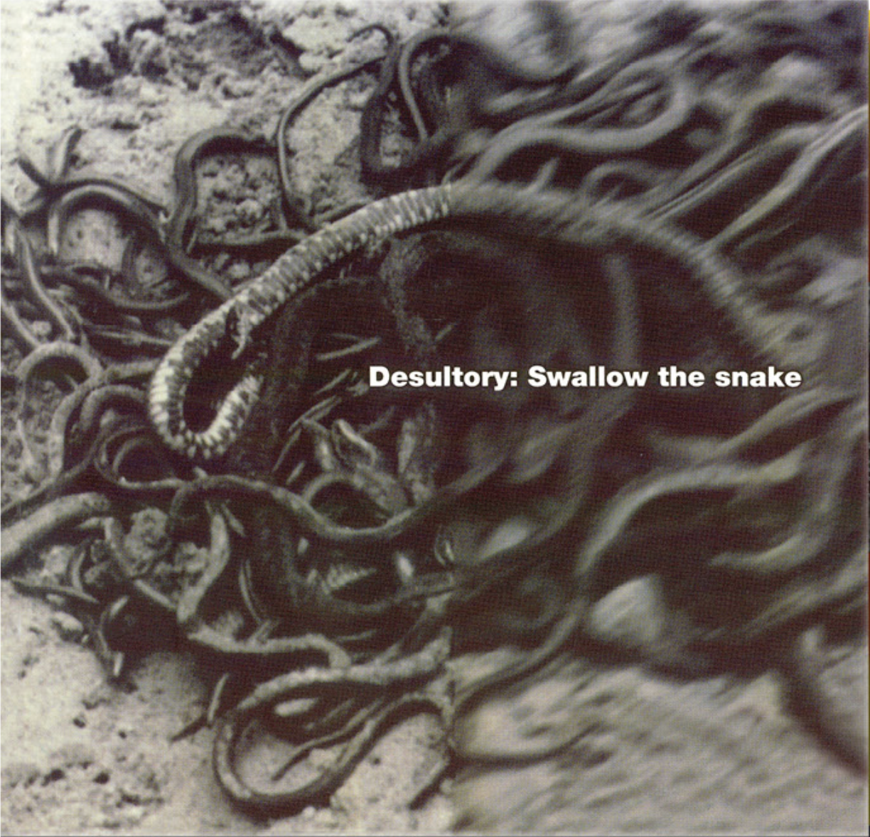 Swallow The Snake