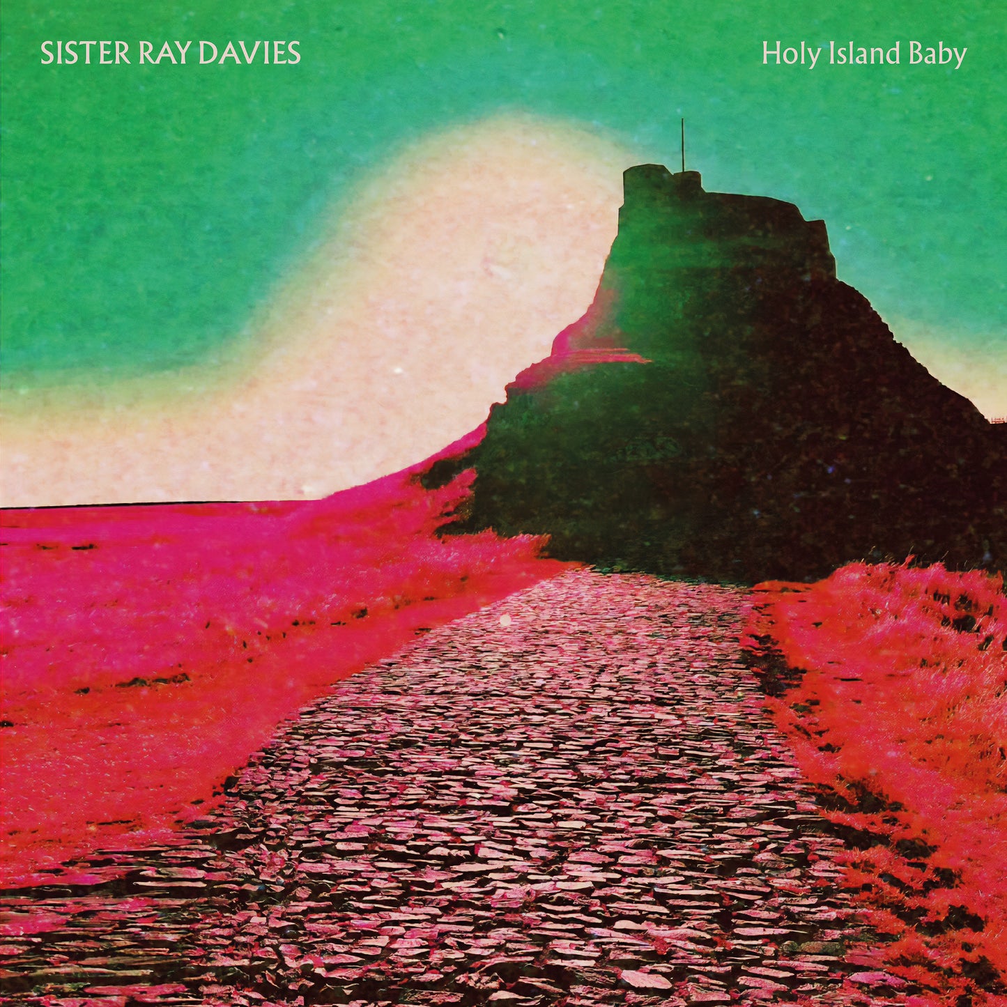 Holy Island Baby -