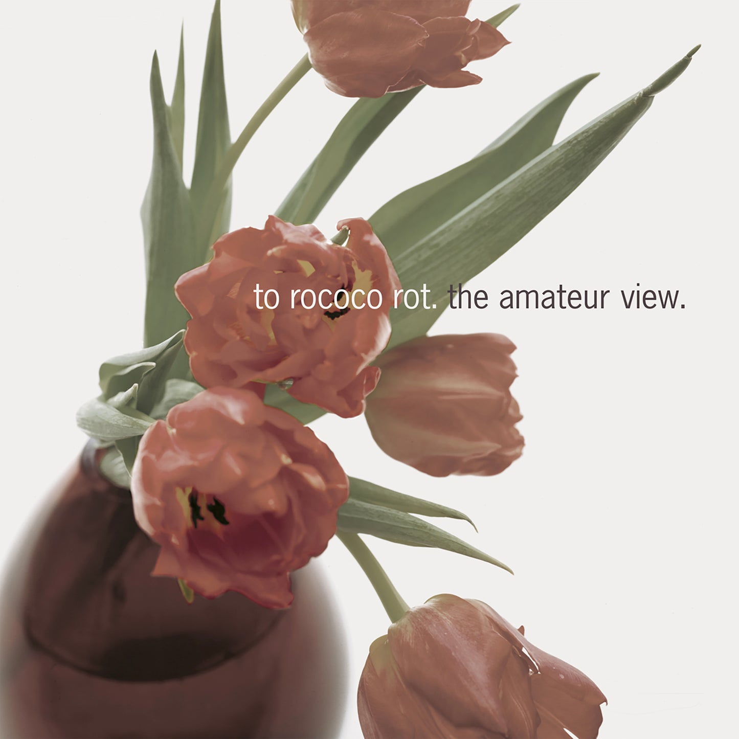 The Amateur View (Expanded Edition 2025)