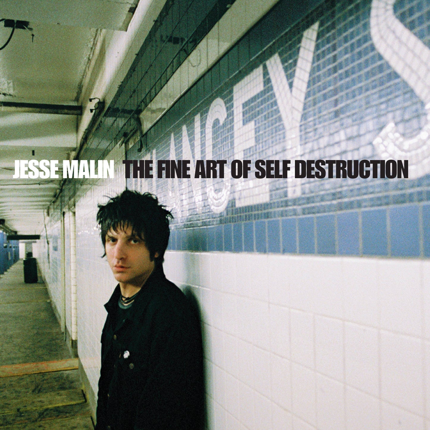 Fine Art of Self Destruction