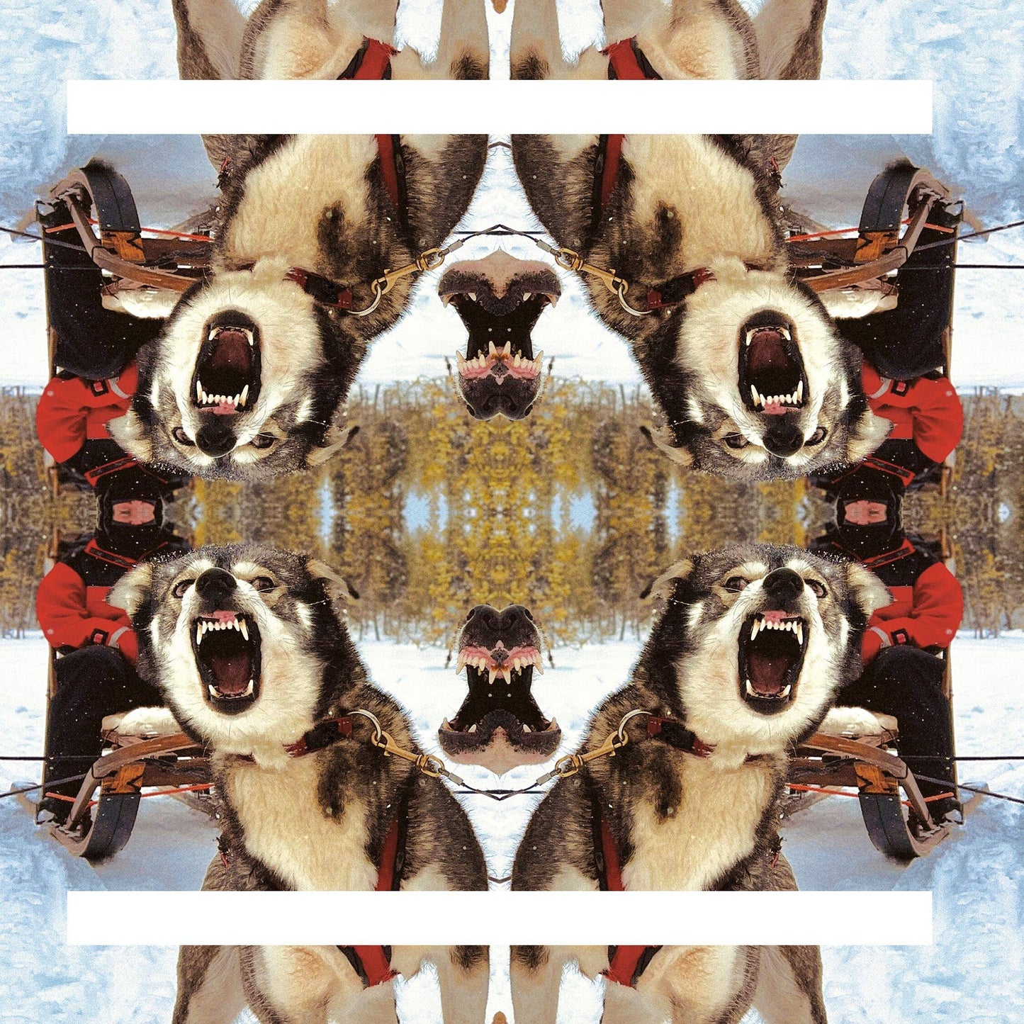 ii