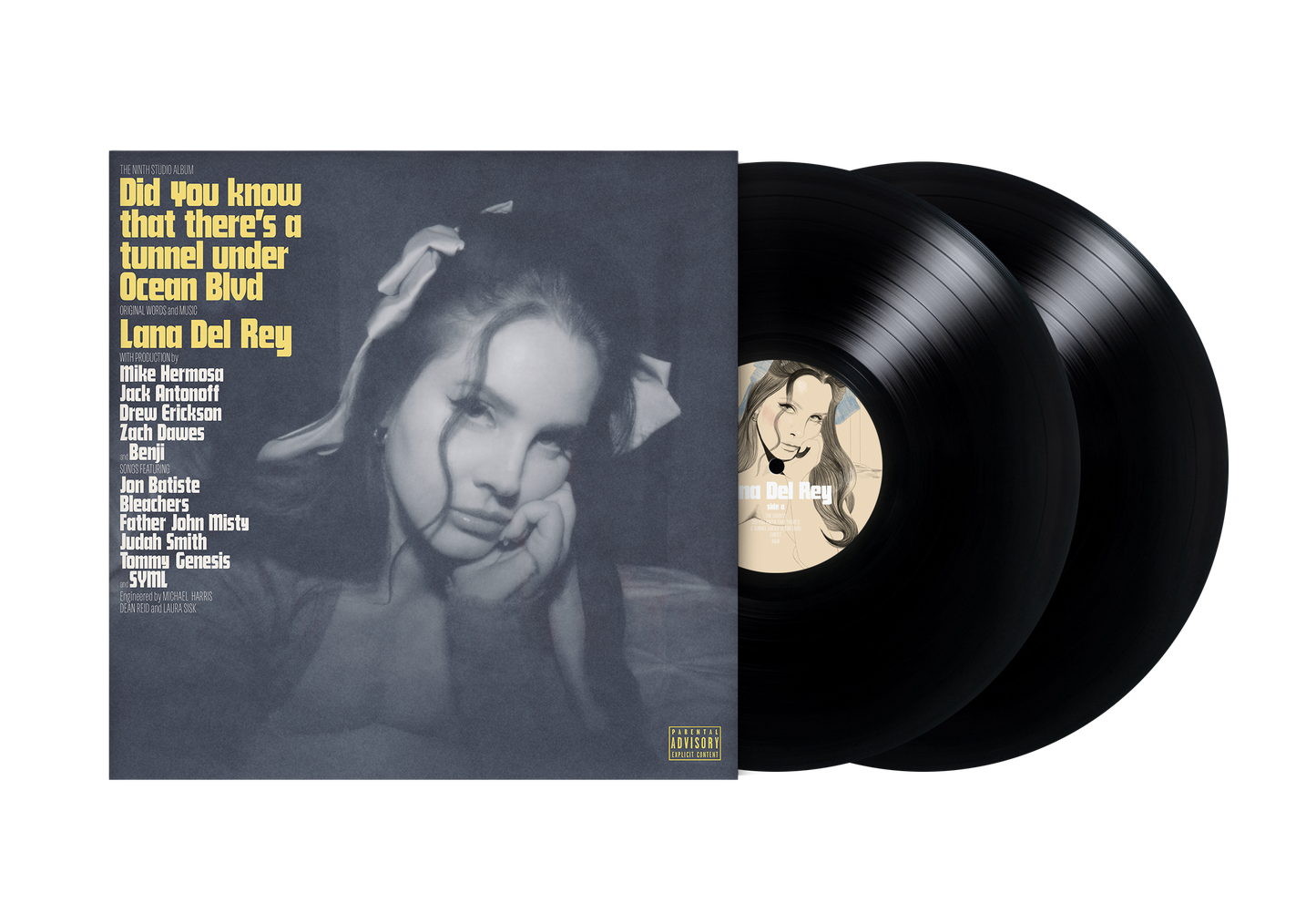 Vinyl - Standard - 00602448591913.png