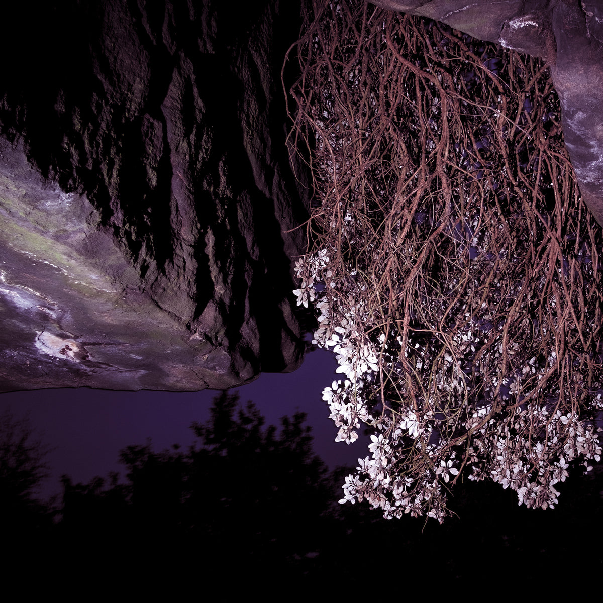 Kogumaza – You Found Yourself Where You Found Yourself album cover