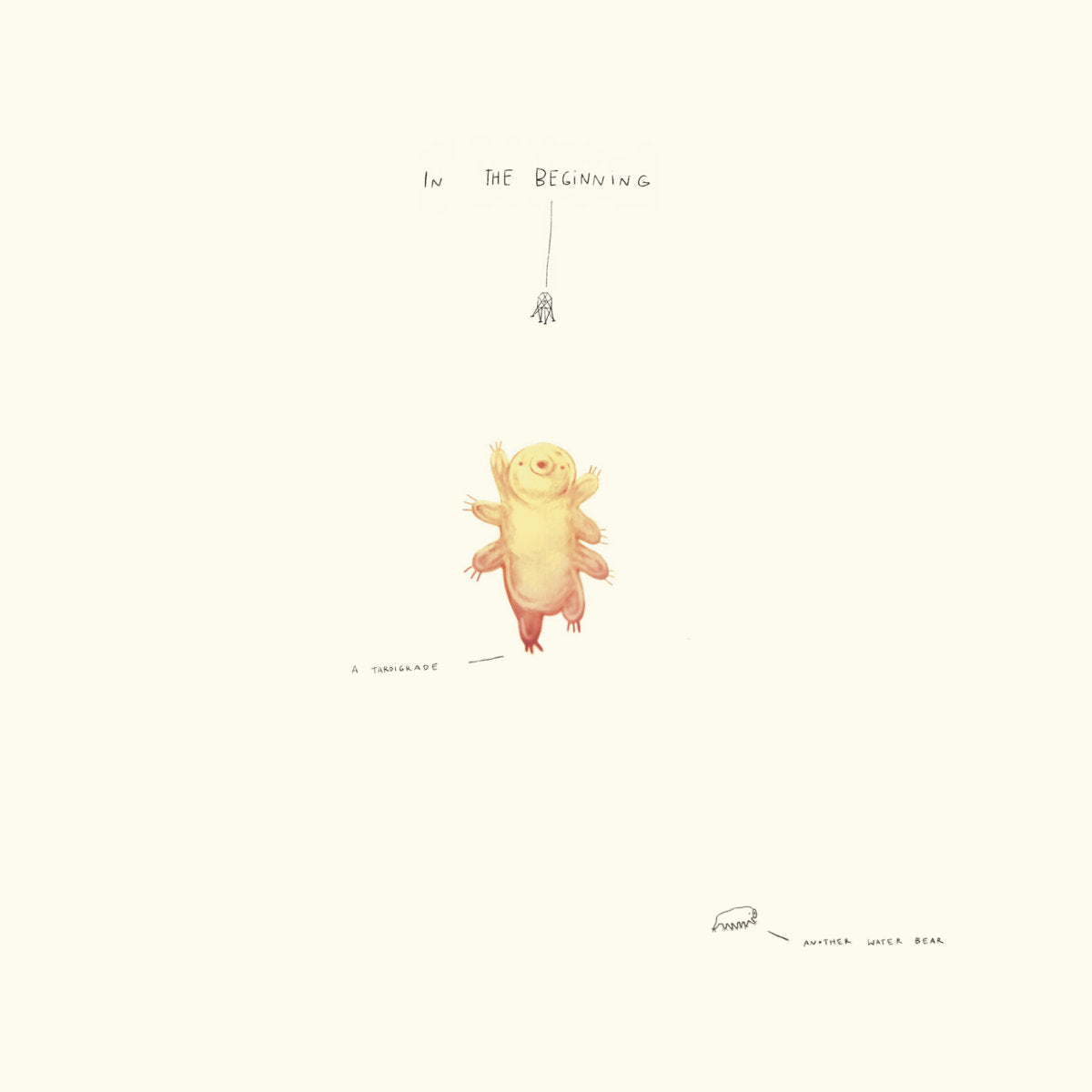 In the Beginning