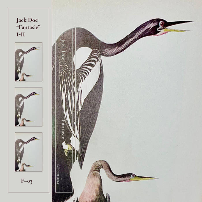 Fantasie (anhingas)