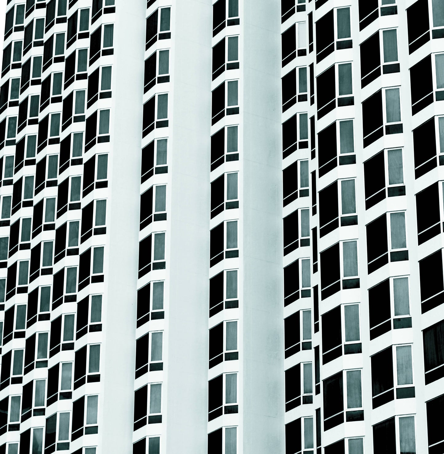 Fixation / White Walls EP