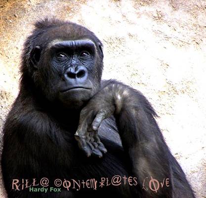 Rilla Contemplates Love