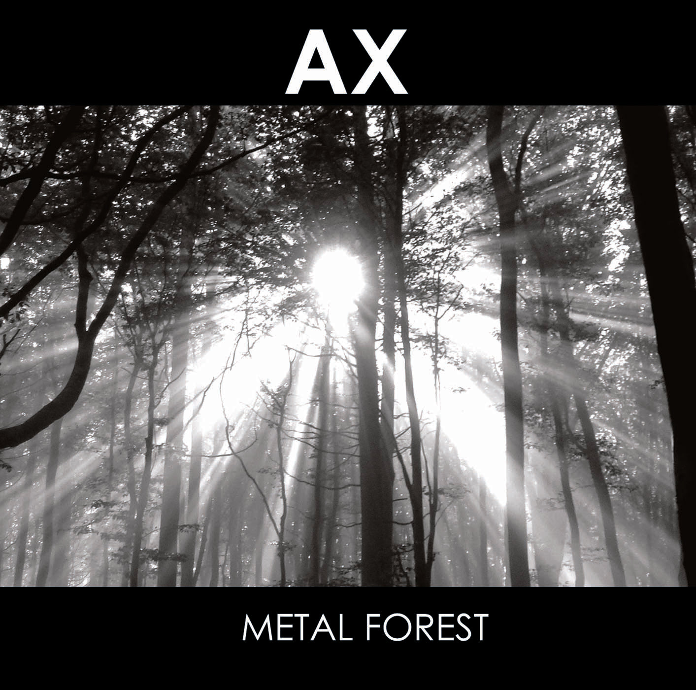 Metal Forest