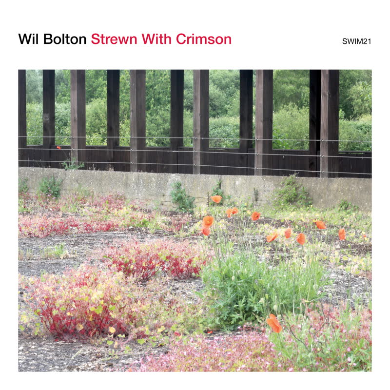 Strewn with Crimson