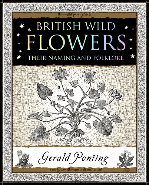 British Wild Flowers: Their Naming and Folklore