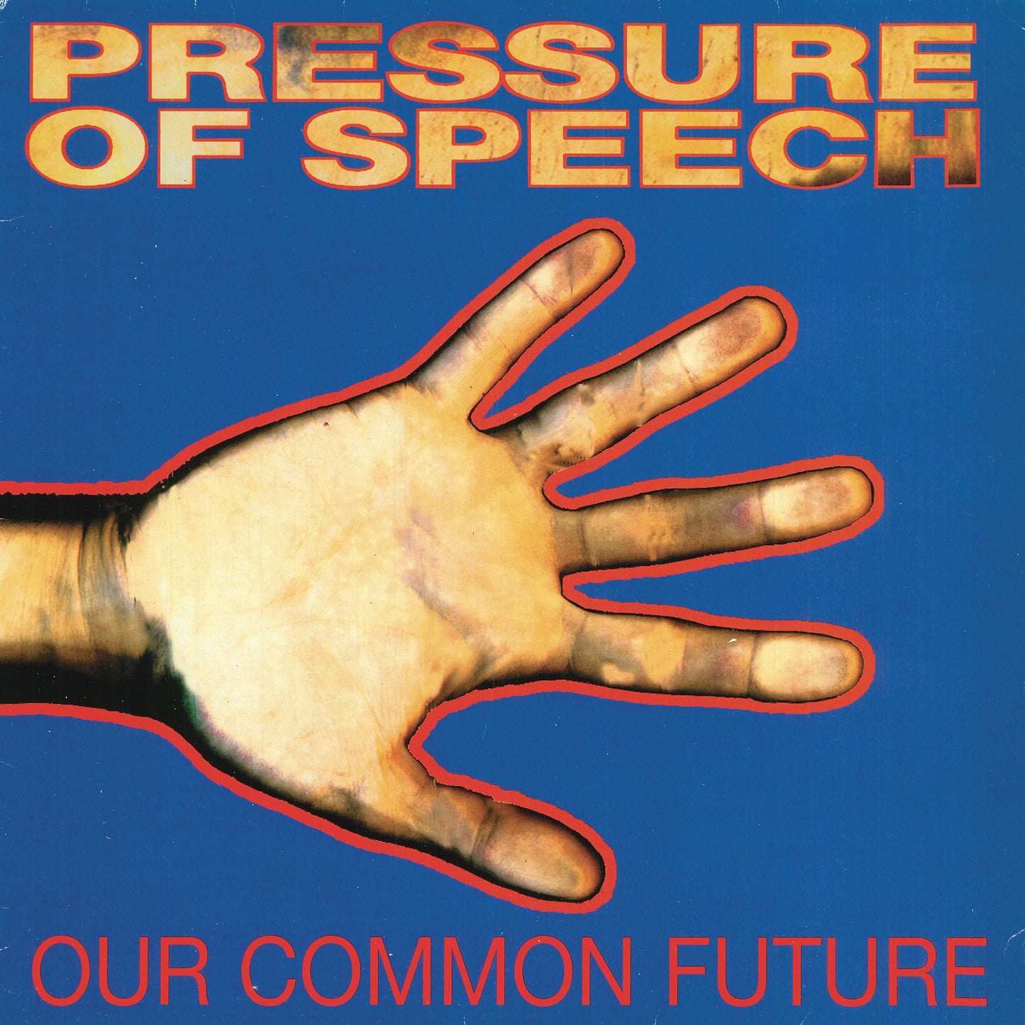 Our Common Past, Our Common Future