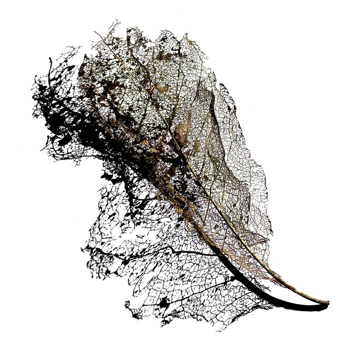 Earth EP