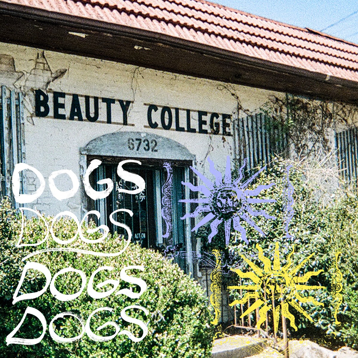 Dogs