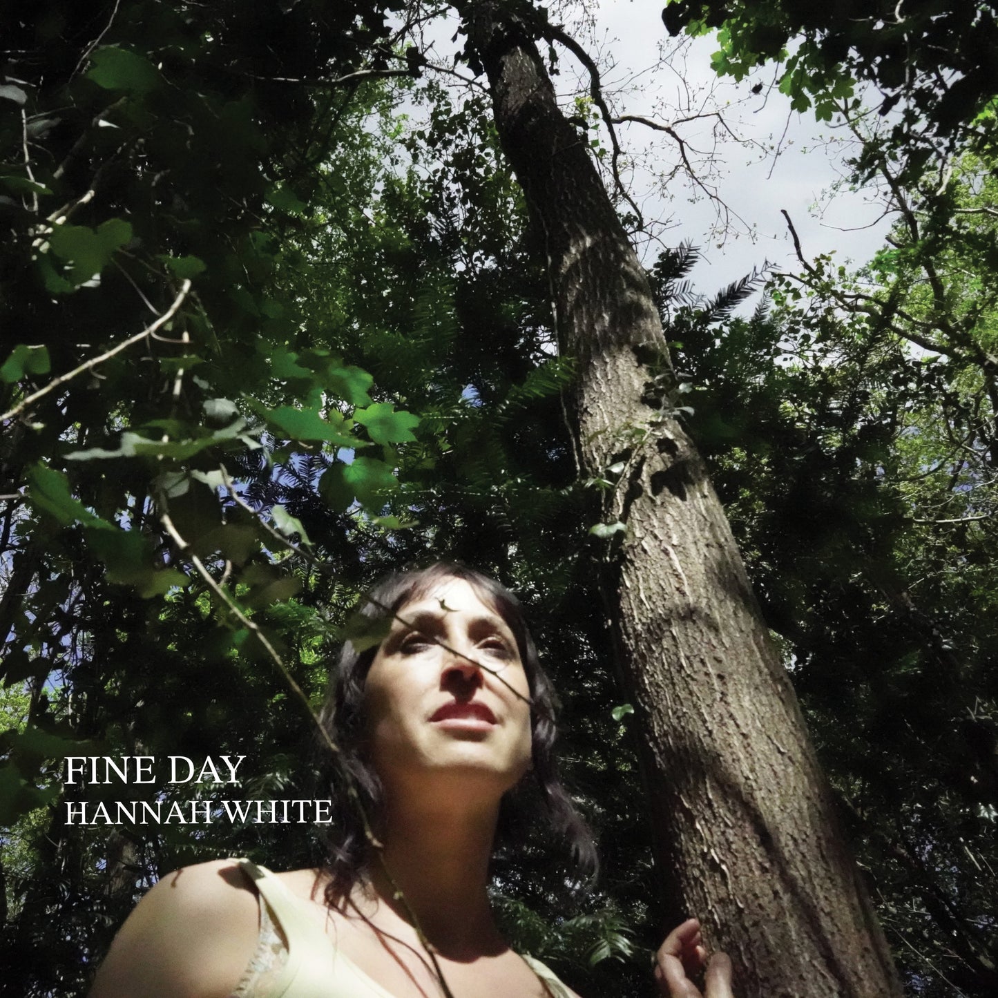 Fine Day