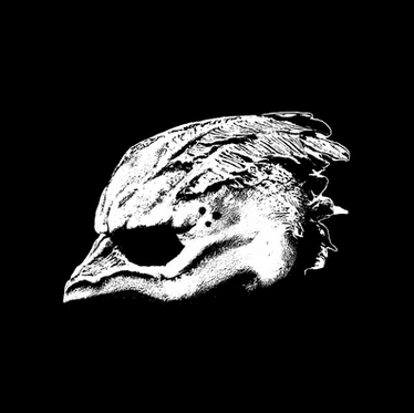 Legend of the Seagullmen