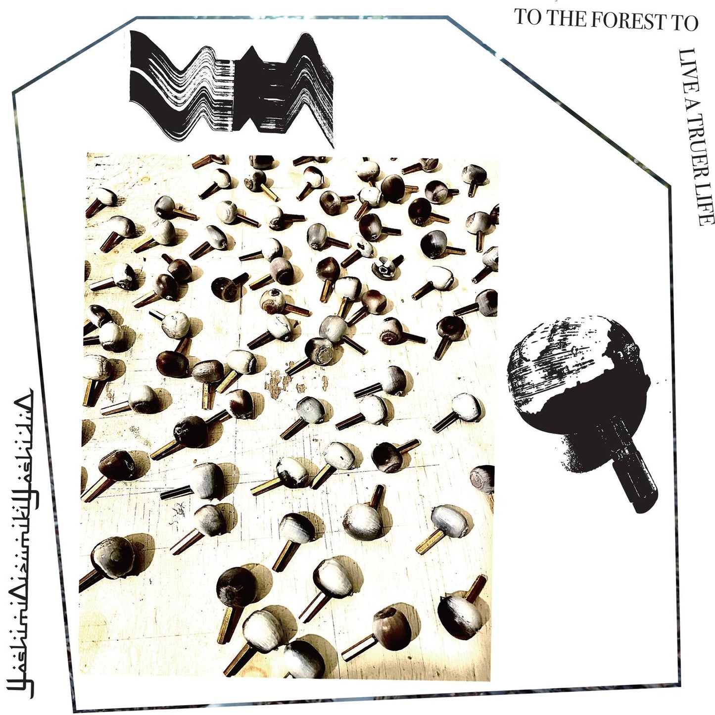 To The Forest to Live a Truer Life
