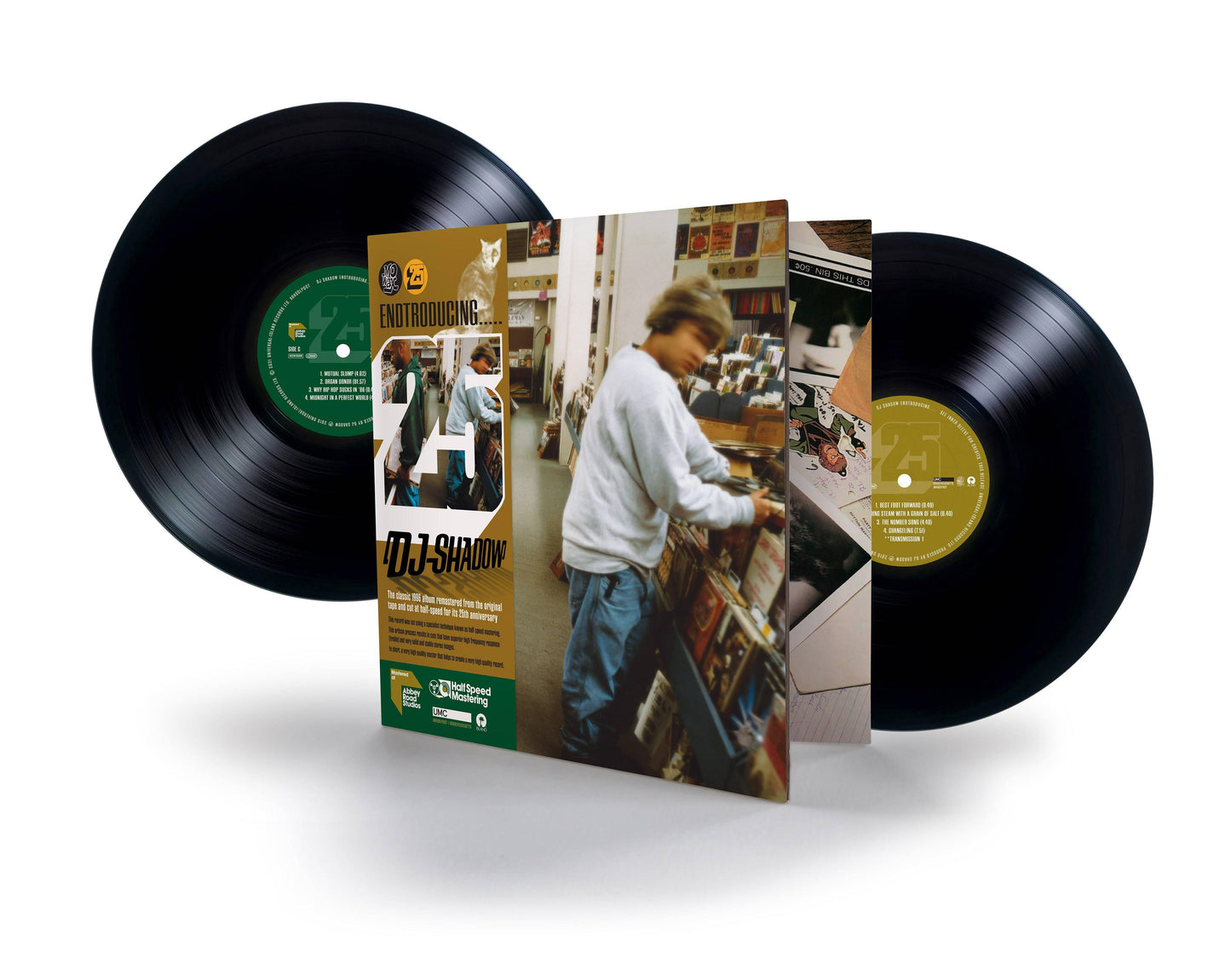 Endtroducing – 25