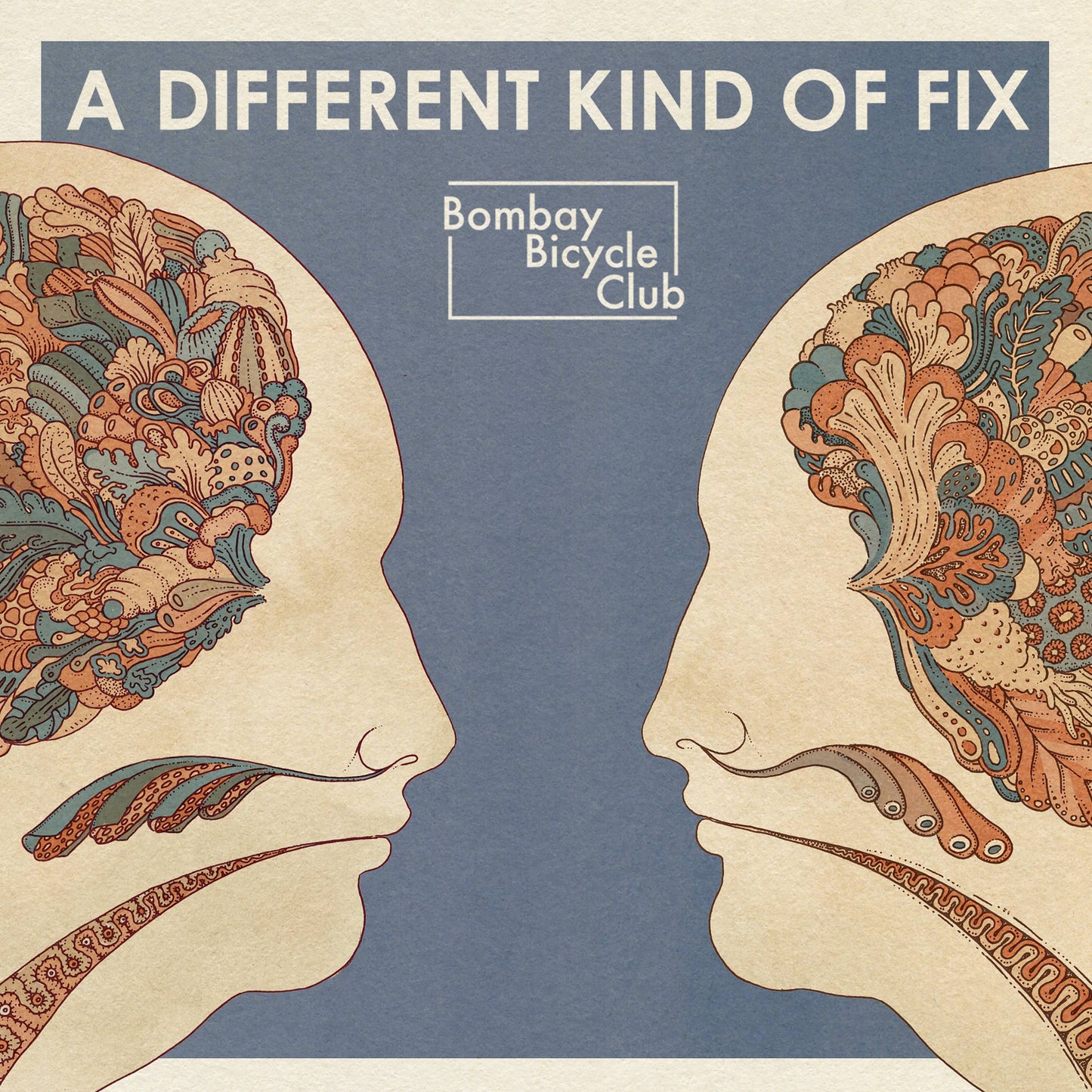 Different Kind of Fix