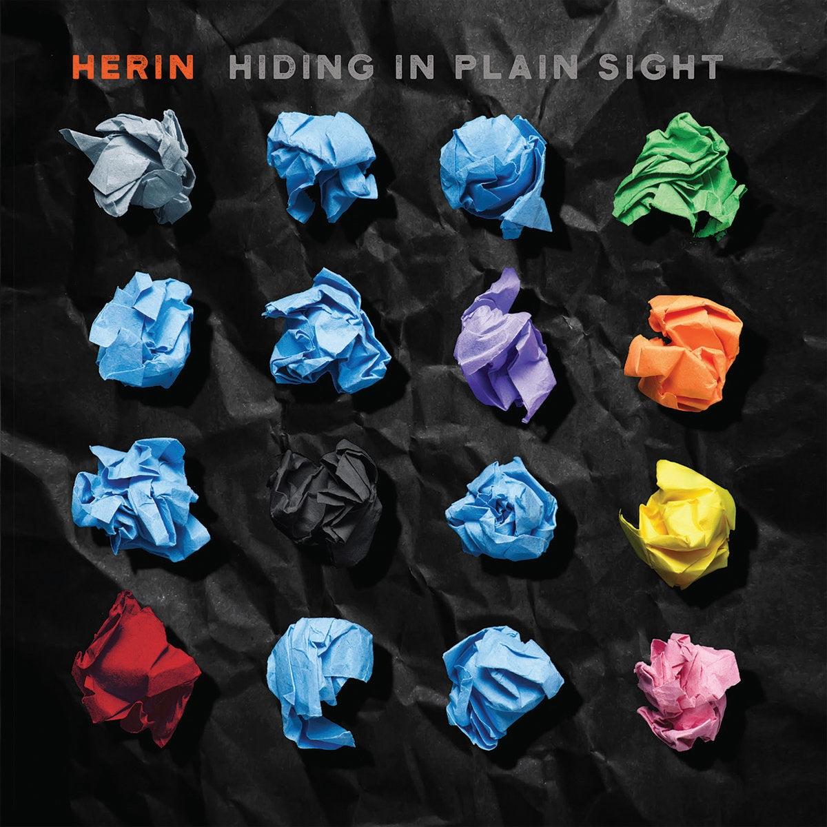 Herin - Hiding In Plain Sight Product Image